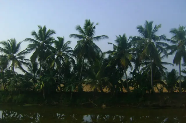 Kuttanad canals, Kuttanad