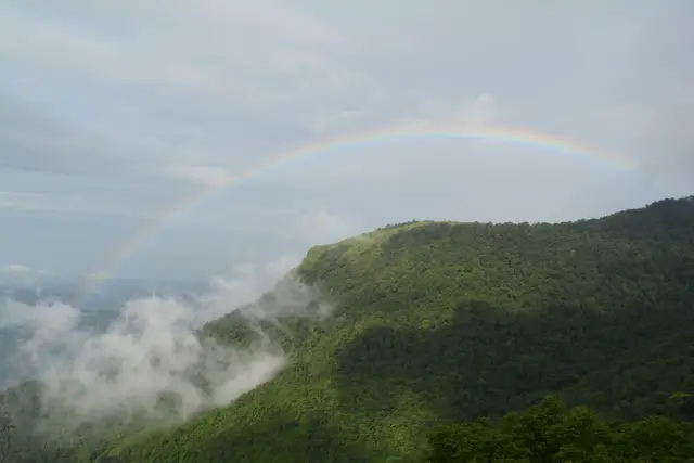 Paithalmala, Paithalmala