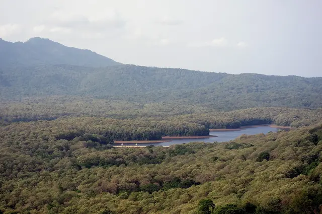 Reservoir safari, Parambikulam