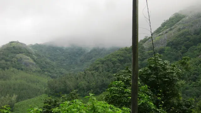 Shendurney Wildlife Sanctuary, Shendurney trek