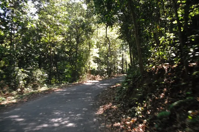 Sholayar forest road, Athirappilly and Vazhachal