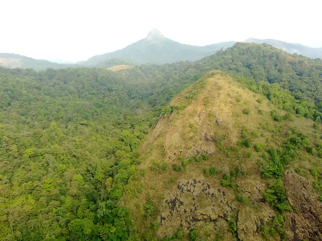 Peruvaripallam Dam, Parambikulam trek