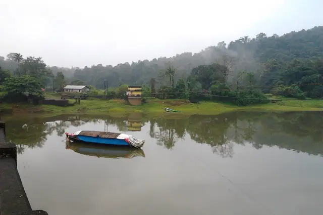 Birding trails, Thattekkad