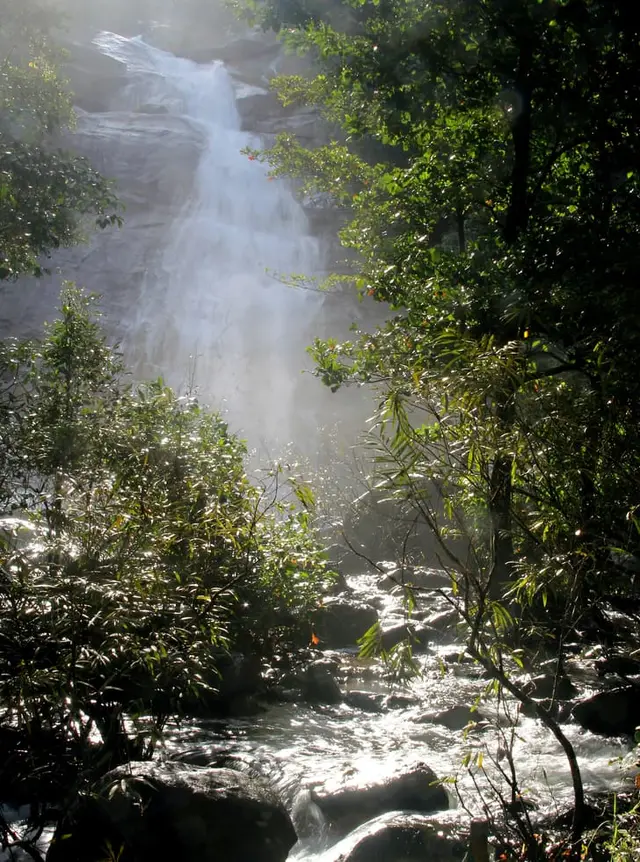 Thusharagiri Waterfalls, Thusharagiri Waterfalls trek