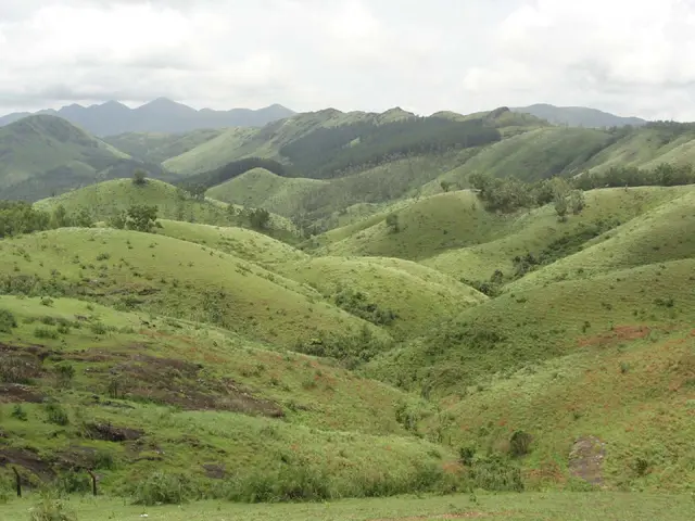 Vagamon meadows, Vagamon