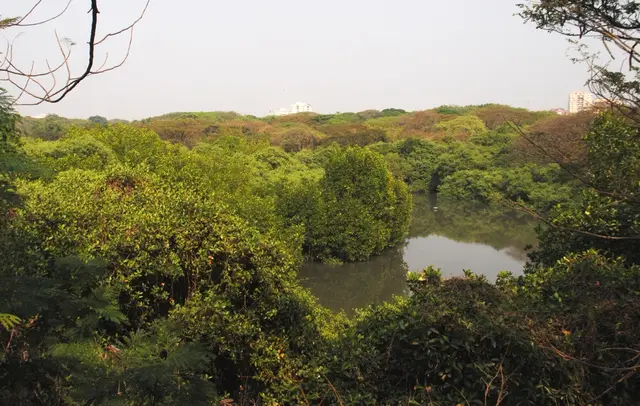 Mangalavanam Bird Sanctuary, Mangalavanam Bird Sanctuary