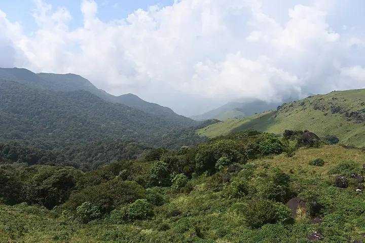 Tadiandamol, Kodagu
