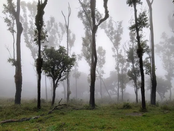 Himavad Gopalaswamy Betta, Chamarajanagar