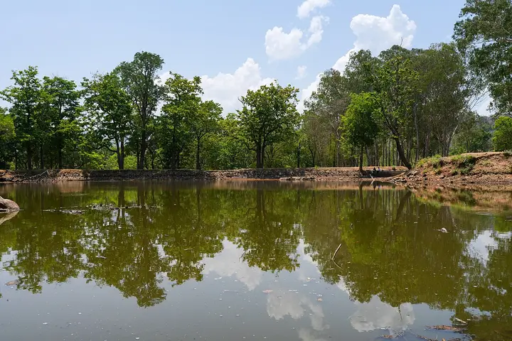 Biligiri Rangaswamy Temple, BR Hills, Chamarajanagar