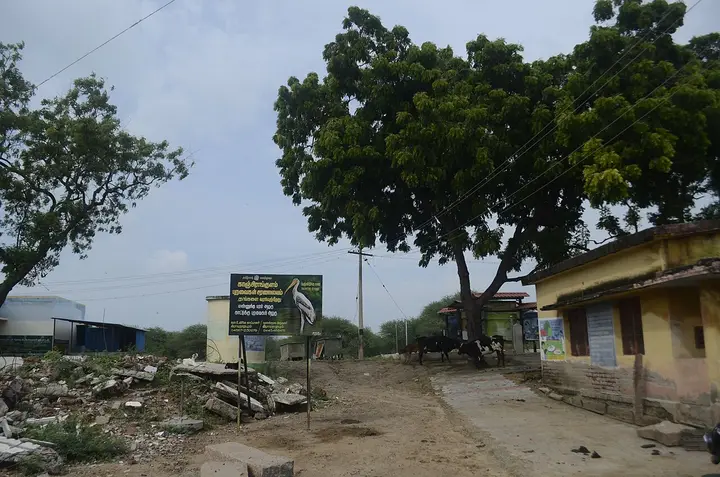 Kanjirankulam Bird Sanctuary, Ramanathapuram