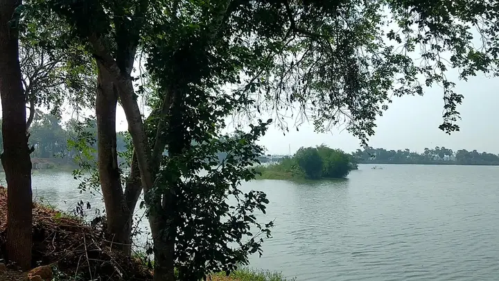 Vaduvur Bird Sanctuary, Thiruvarur