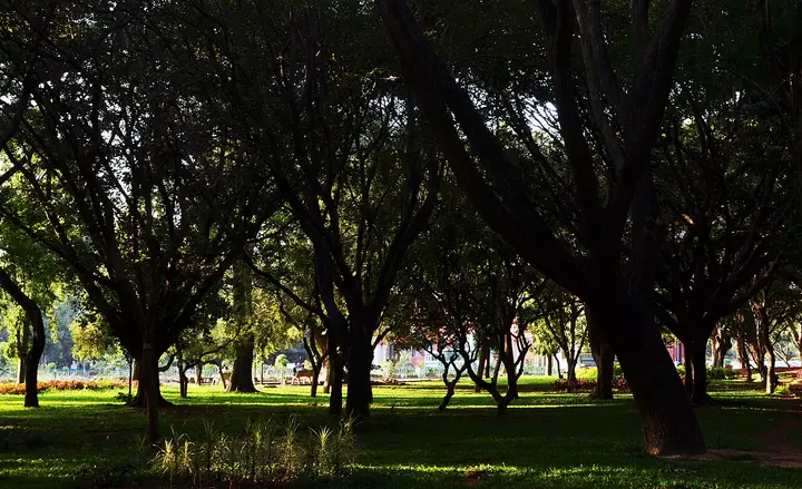 Cubbon Park, Bengaluru Urban