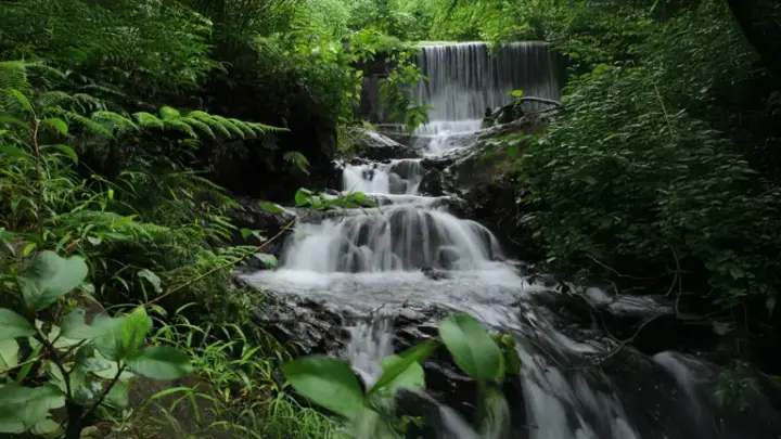 Chethalayam Falls, Wayanad