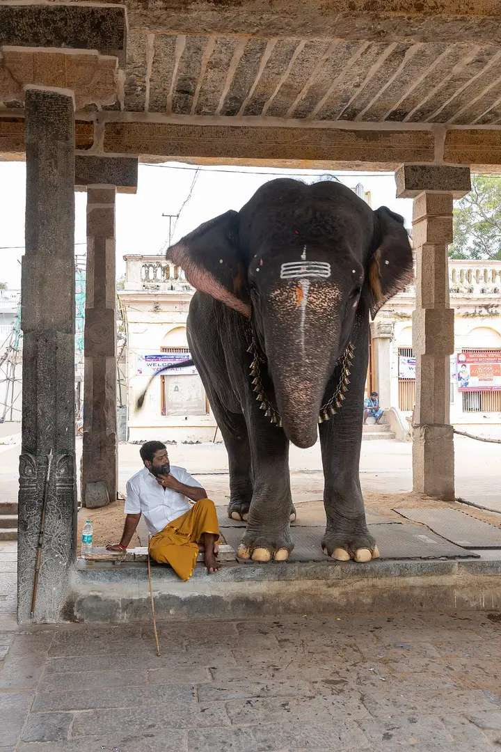 Adi Kumbeswarar Temple, Thanjavur
