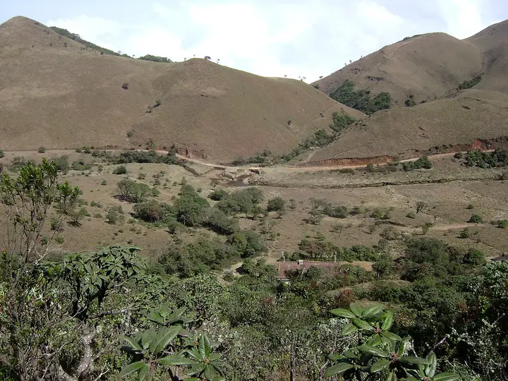 Bangitappal, The Nilgiris