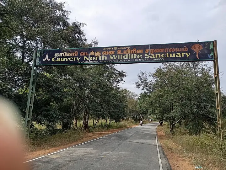 Cauvery North Wildlife Sanctuary (Krishnagiri sector), Krishnagiri