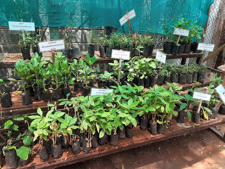Chennai Snake Park, Chennai
