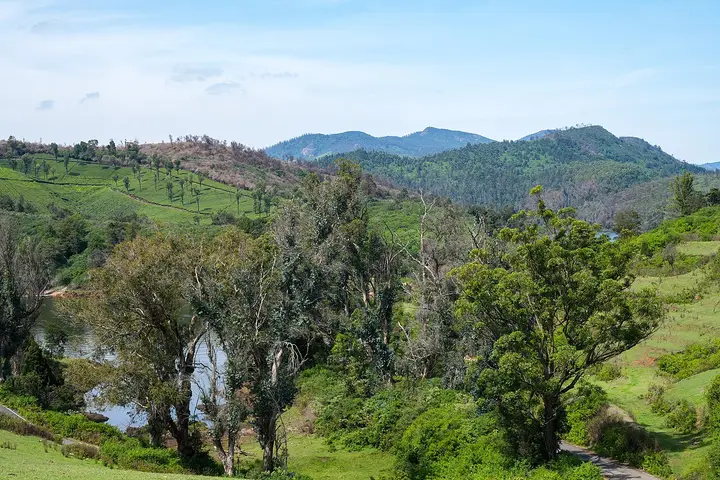 Glenmorgan, The Nilgiris