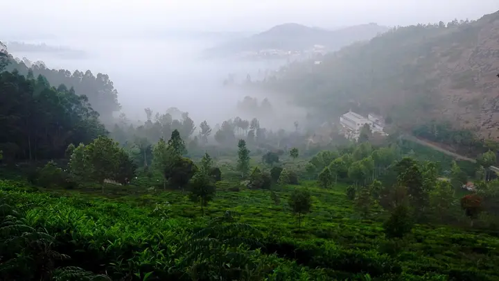 Kodanad View Point, The Nilgiris