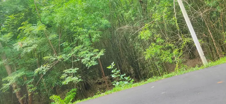Kolli Hills, Namakkal