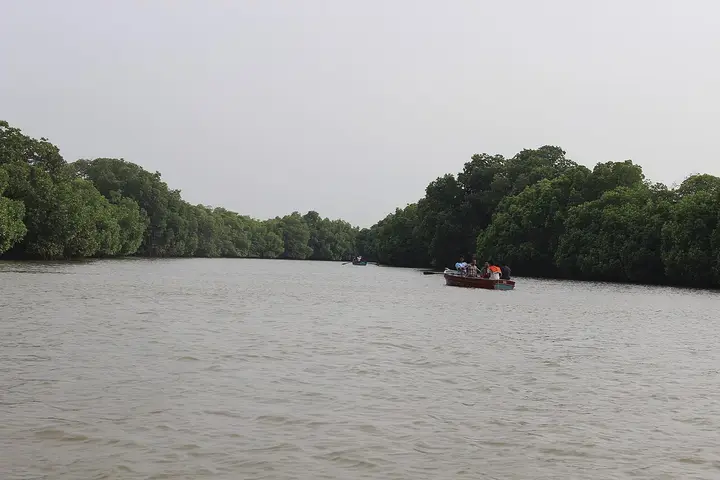 Pichavaram Mangrove Forest, Cuddalore