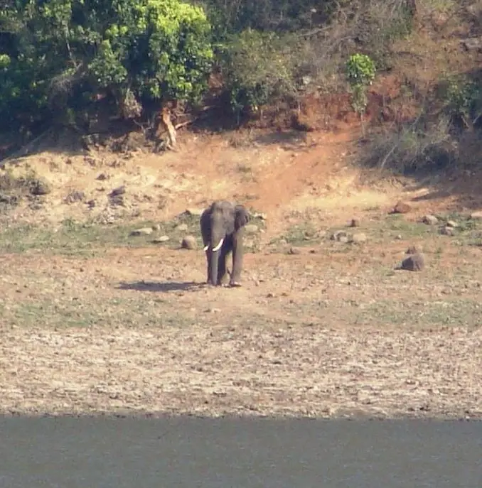 Sathyamangalam Tiger Reserve, Erode