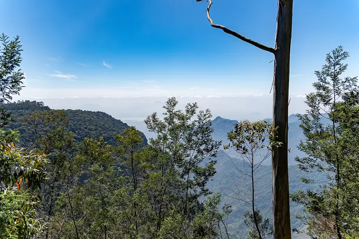 Silent Valley View, Kodaikanal, Dindigul