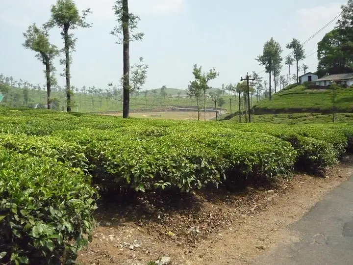 Valparai, Coimbatore