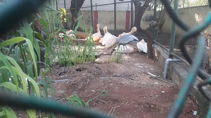VOC Park and Zoo, Coimbatore