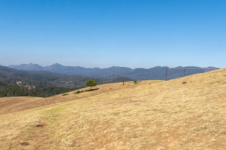 Wenlock Downs, The Nilgiris