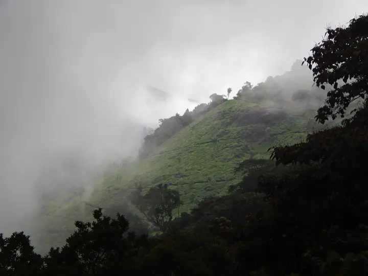 Pothamedu Viewpoint, Idukki