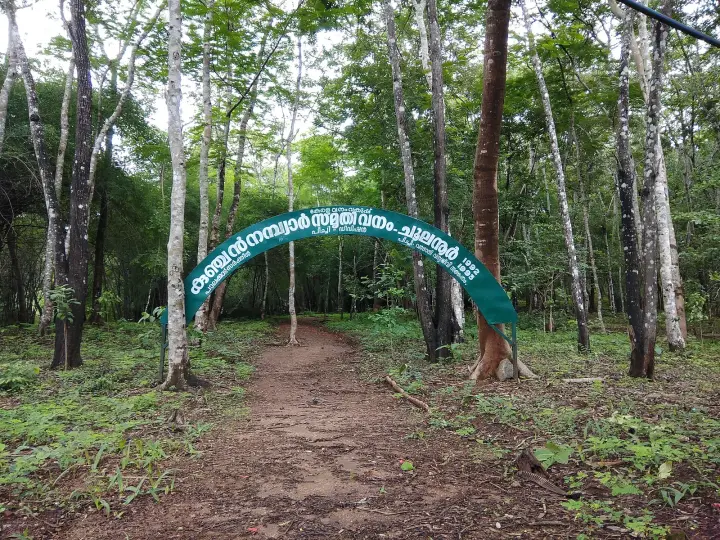 Choolannur Peafowl Sanctuary, Palakkad