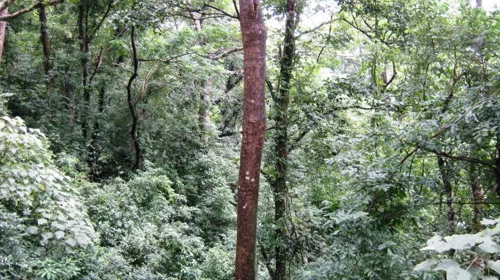 Shendurney trek, Kollam
