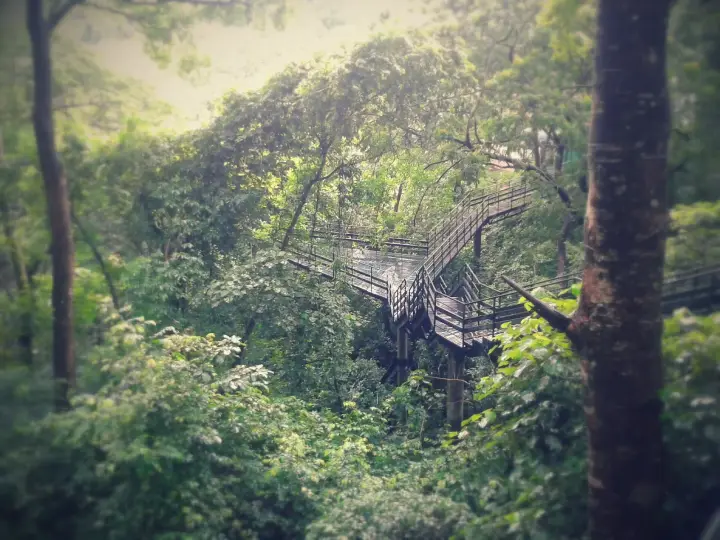 Thenmala trekking, Kollam