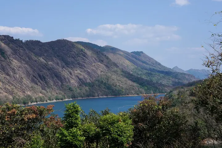 Vagavanam Windy Walk trek, Idukki
