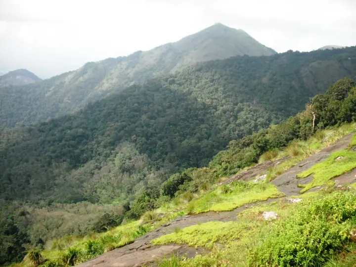 Karadipara, Palakkad