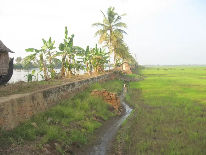 Kuttanad, Kuttanad