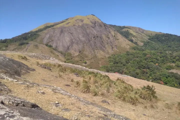 Nelliyampathy trek, Palakkad