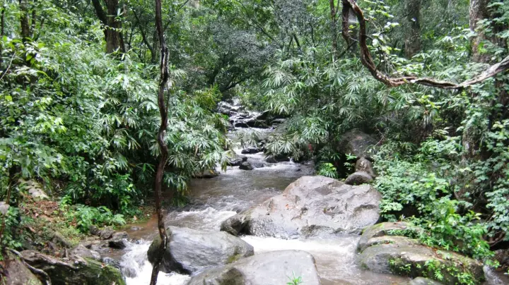Kallar Meenmutty Falls, Thiruvananthapuram