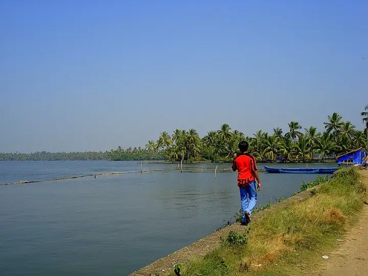 Seafood homestays, Ernakulam
