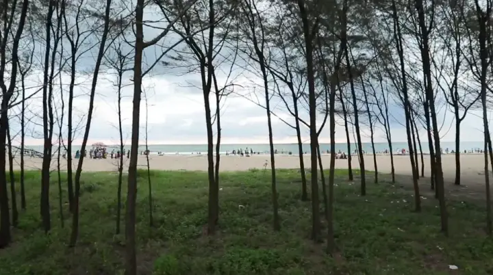 Padinjarekara Beach, Malappuram