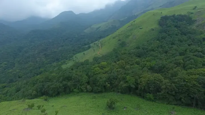 Aranamala Peak, Wayanad
