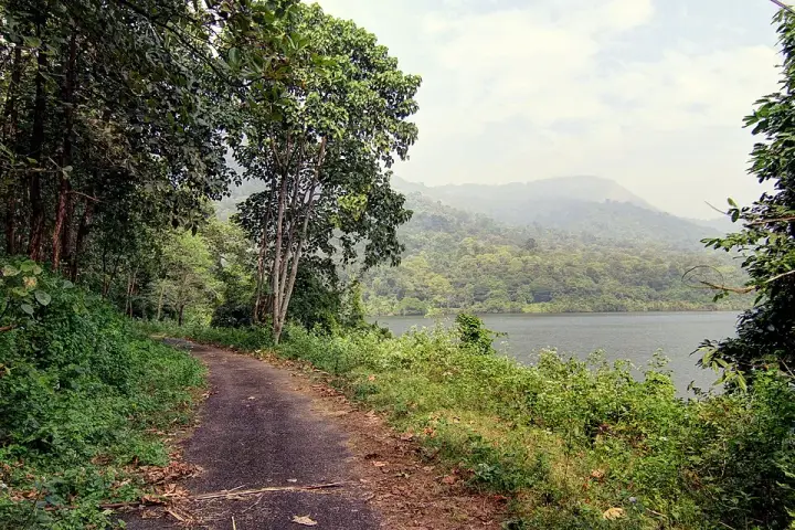 Chimmony trek, Thrissur