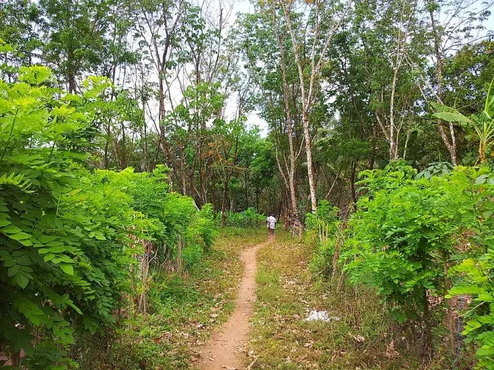 Peechi-Vazhani trek, Thrissur