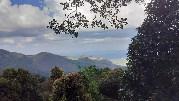Skypark 900 Kandi, Wayanad
