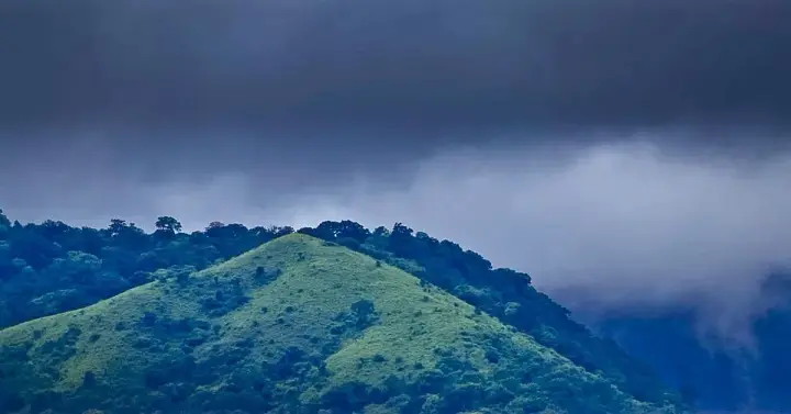Brahmagiri Hills, Wayanad