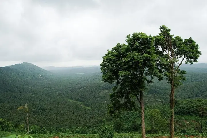 Arimbra Hills, Malappuram