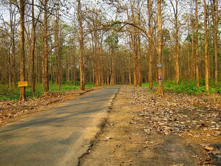 Nedumkayam rainforest trek, Malappuram
