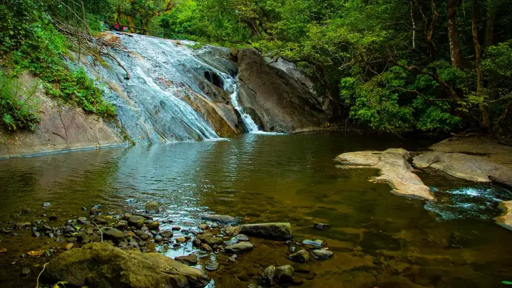 Dhoni Waterfalls trek, Palakkad