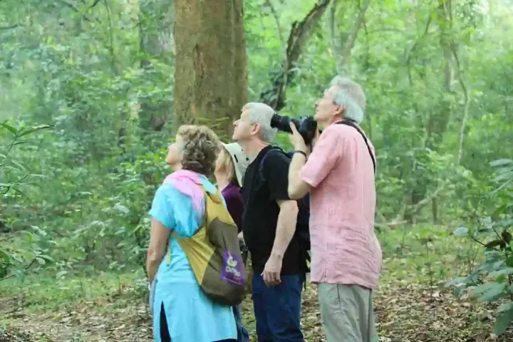 Periyar Nature Walk, Idukki
